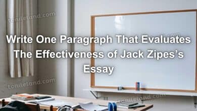 Write One Paragraph That Evaluates The Effectiveness Of Jack Zipes’s Essay