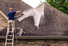 Soft Wash Roof Cleaning