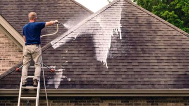Soft Wash Roof Cleaning