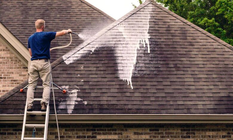 Soft Wash Roof Cleaning