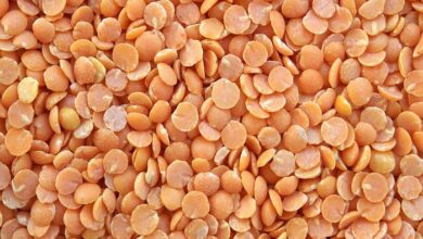 5 Masoor Dal Variations